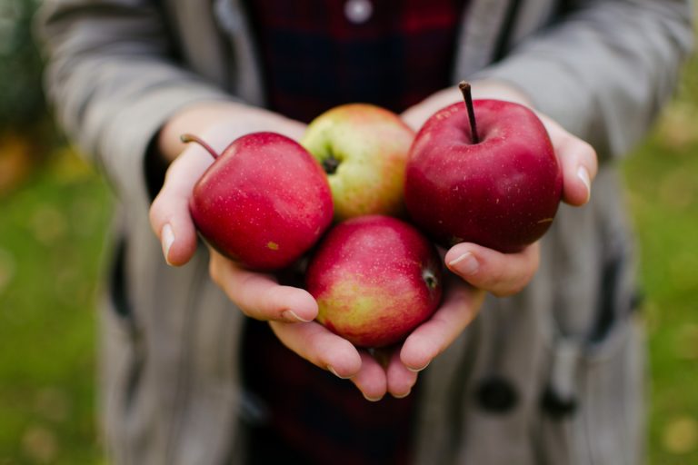 סוד התפוח – פרנסה,בריאות,שלום בית וזיווג הכל בפרי אחד